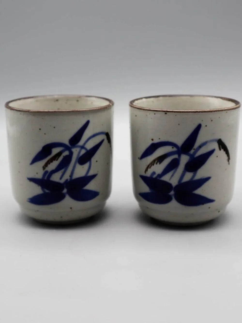 2 Japanese Pottery Yunomi Tea Cups Sake Set Speckled Blue Floral Botanical